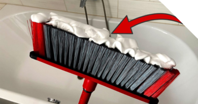 foto destacada de cepillo con espuma de afeitar para limpiar bañera lacasaverde.net